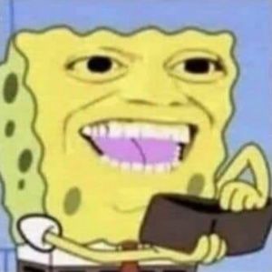 Meet your Posher, Callie